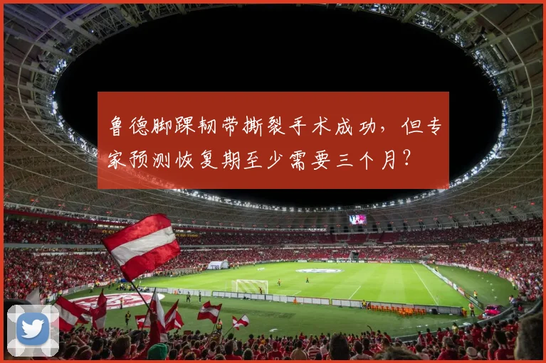 鲁德脚踝韧带撕裂手术成功，但专家预测恢复期至少需要三个月？