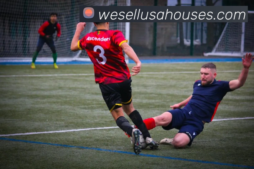 星空体育下载全站App